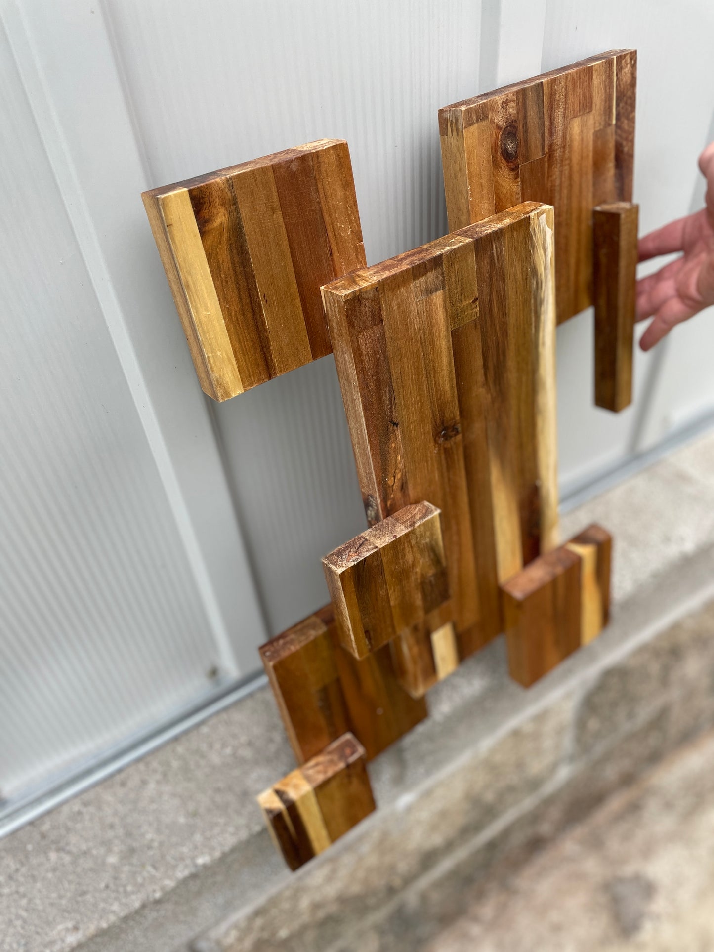 Contemporary Acacia Wall Art